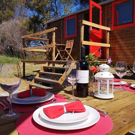 מלון אלג'זור Moledos Glamping מראה חיצוני תמונה